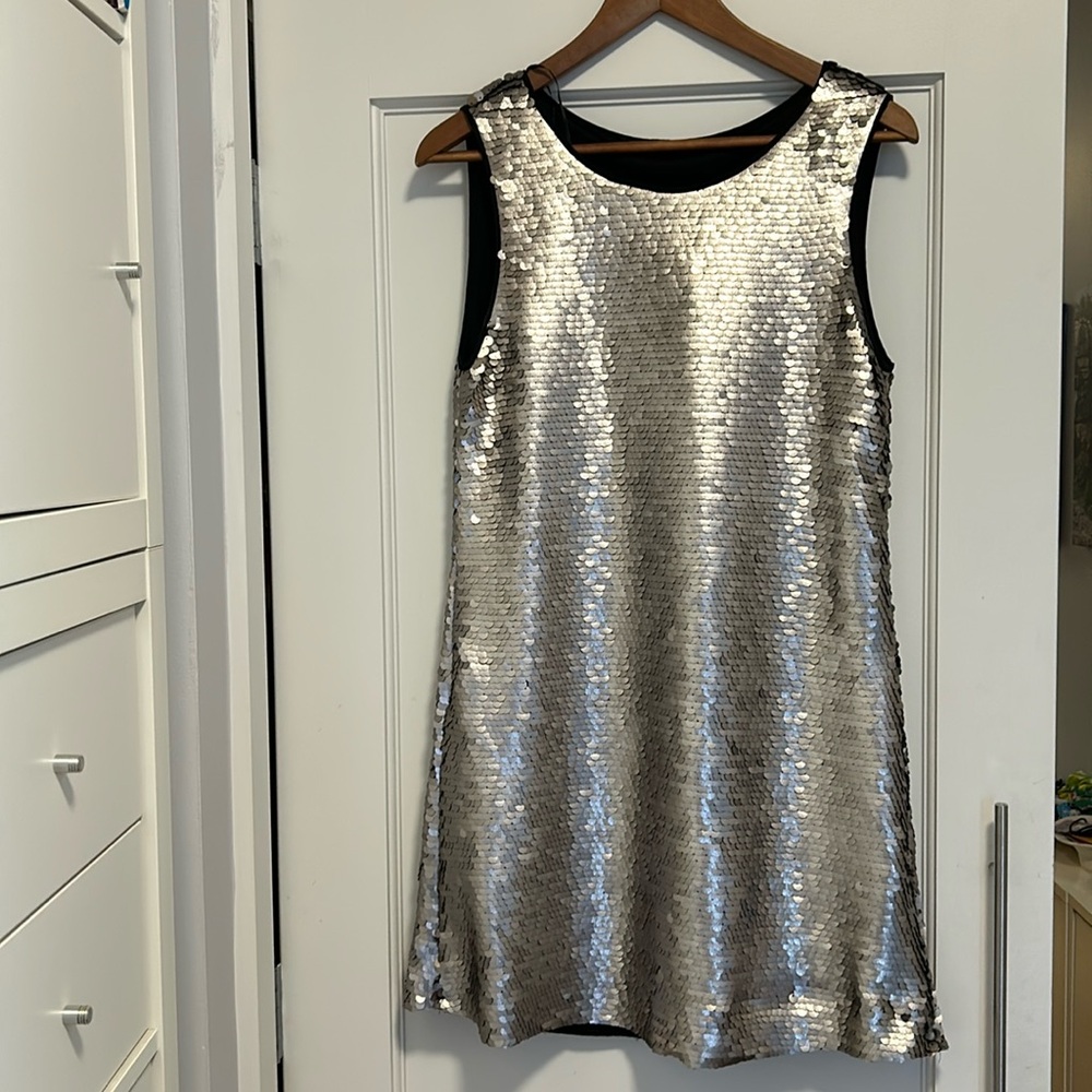 Zara Matte Silver Sequin Shift Dress Size Medium